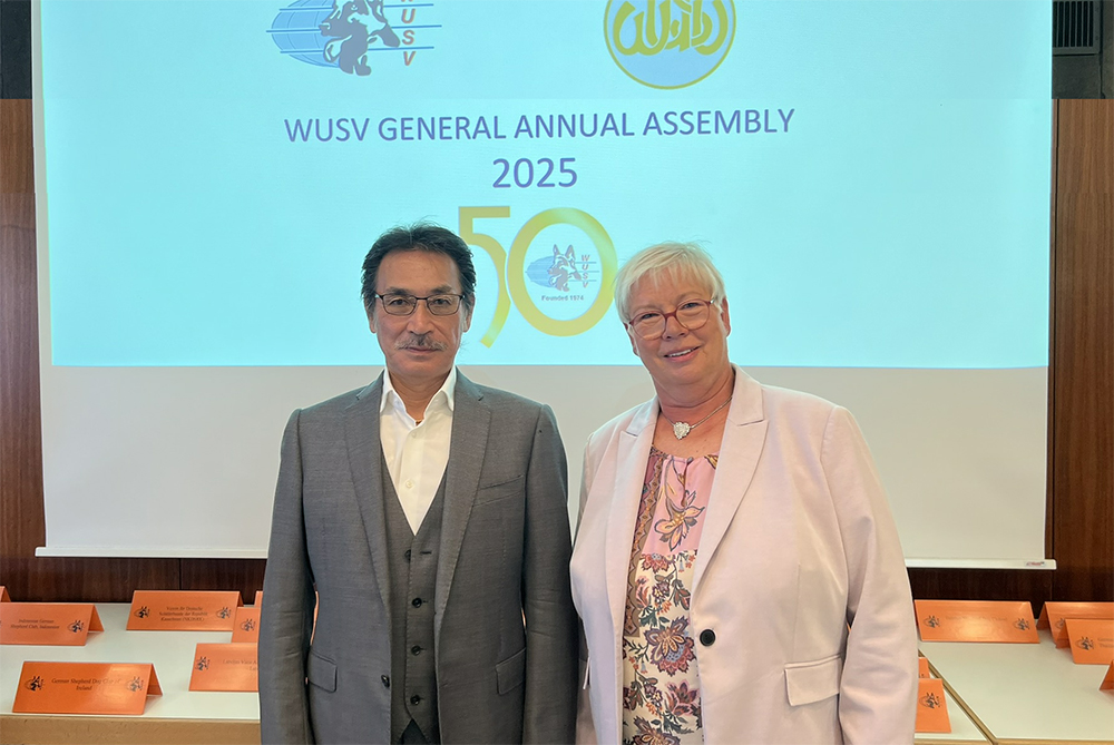 2025WUSV����