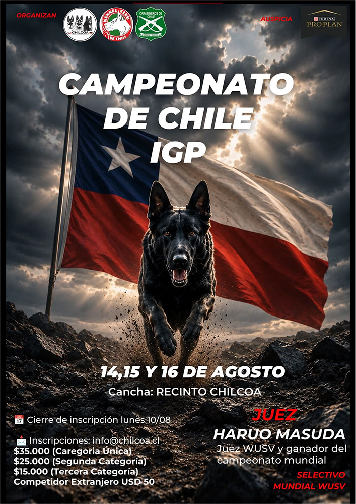 2026-chilean-championship